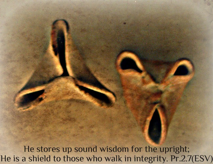 9th Century B.C. African Oil Lamps