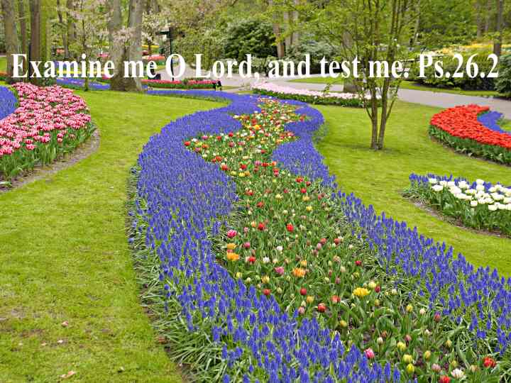 Ps.26.2