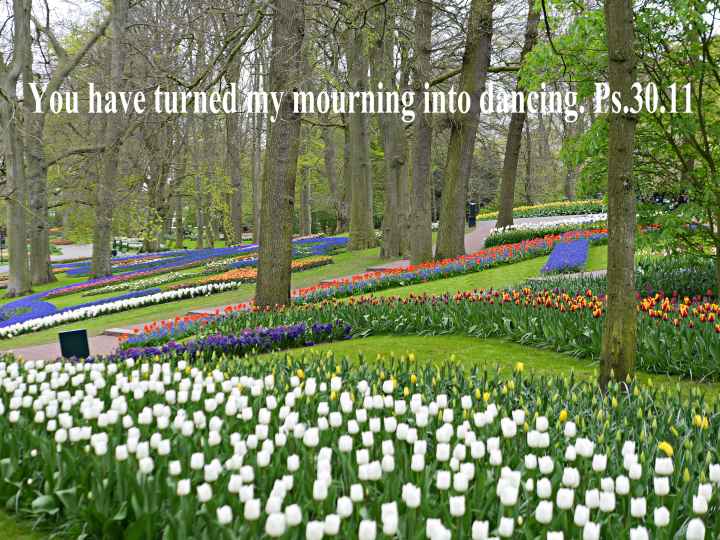 Ps.30.11