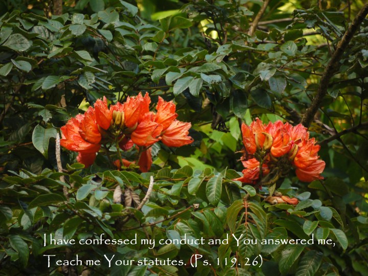 Ps119.26